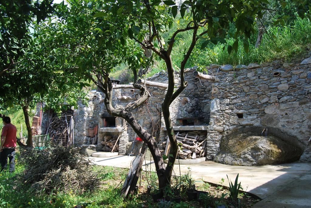 Al Melograno B&B Belmonte Calabro Cameră foto